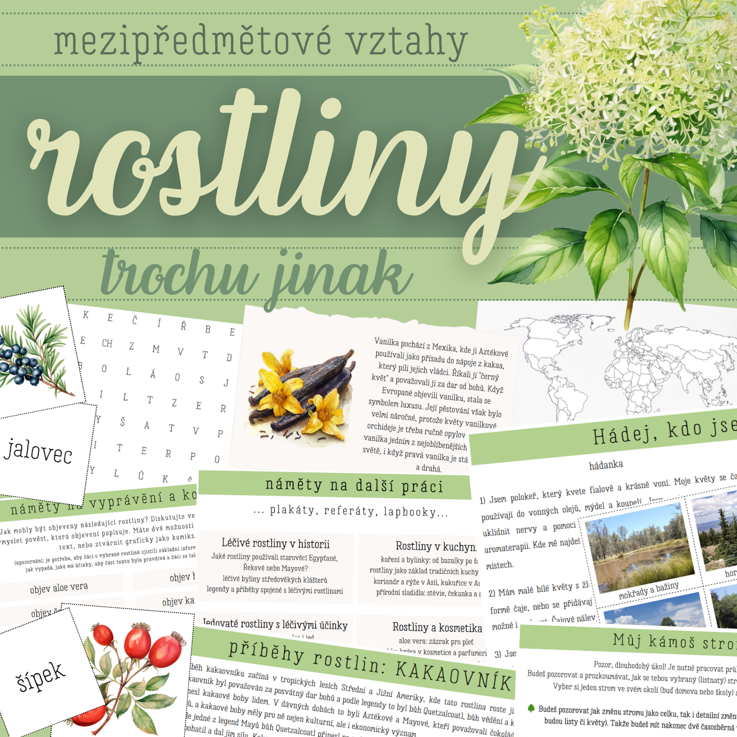 Indoor Aktivitäten Kinder 2 Jahre Berlin ROSTLINY (trochu jinak) - sada aktivit - Biologie | UčiteléUčitelům.cz